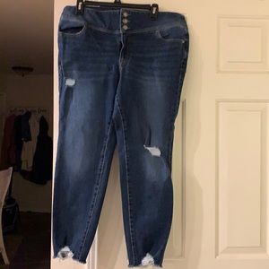 Lane Bryant high-rise jegging